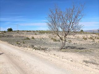 Solar en venta en Almansa