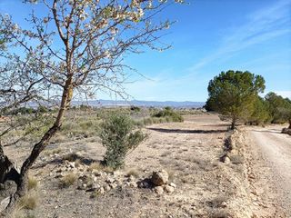 Solar en venta en Almansa
