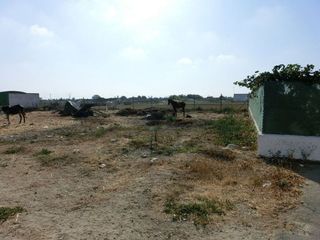 Solar en venta en Centro - Norte en Chipiona