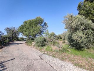 Terreno en venta en Montsià de Mar en Alcanar