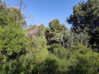 Terreno en venta en Montsià de Mar en Alcanar