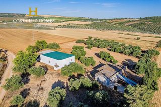 Casa rural en venta en Arcos de la Frontera