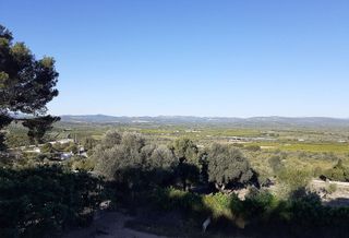 Chalet en venta en Boverals - Saldonar en Vinaròs