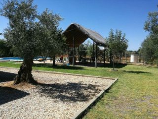 Chalet en venta en Almonte en Almonte