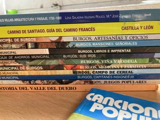 Lote 19 libros sobre Burgos + Bolsa de tela