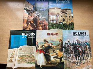 Lote 19 libros sobre Burgos + Bolsa de tela