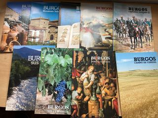 Lote 19 libros sobre Burgos + Bolsa de tela