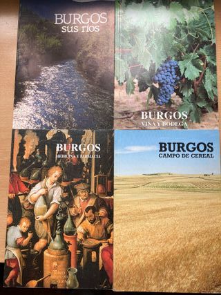 Lote 19 libros sobre Burgos + Bolsa de tela