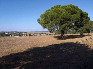 Terreno en venta en Barbate ciudad en Barbate