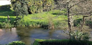 Local comercial en venta en Betanzos