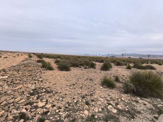 Solar en venta en Yecla