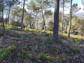 Terreno en venta en Torrelles de Llobregat