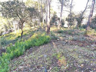Terreno en venta en Torrelles de Llobregat