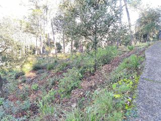 Terreno en venta en Torrelles de Llobregat