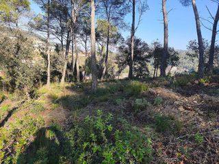 Terreno en venta en Torrelles de Llobregat