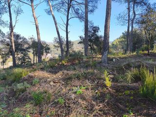 Terreno en venta en Torrelles de Llobregat