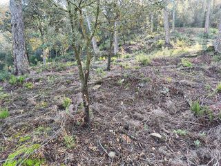 Terreno en venta en Torrelles de Llobregat
