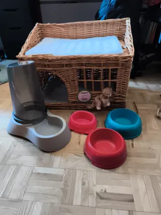 Set de accesorios para gatos
