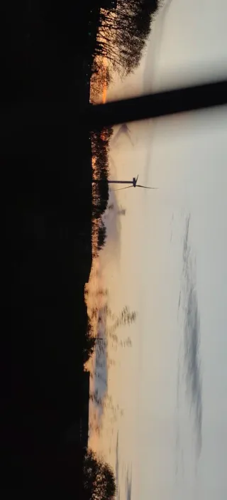 Botas Engineer Piel El Beasto Shop