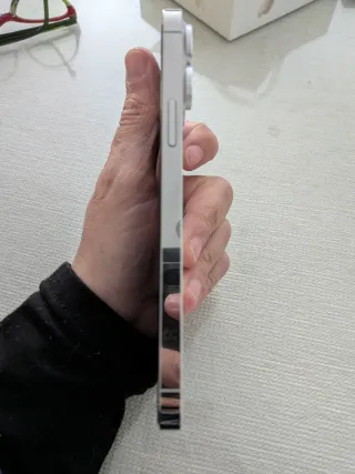 iPhone 13 Pro Max 512 GB