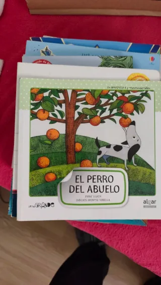 Lote de libros infantiles