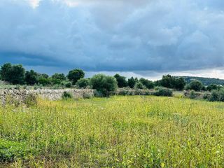 Casa rural en venta en Felanitx