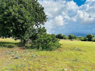 Casa rural en venta en Felanitx