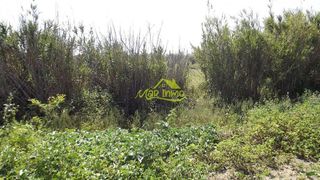 Casa rural en venta en Gibraleón