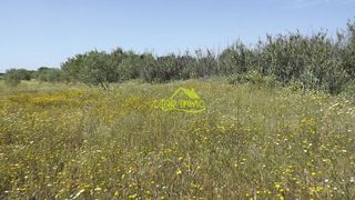 Casa rural en venta en Gibraleón