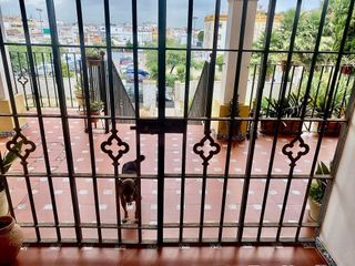 Chalet en venta en El Pino-Bajo de Guía en Sanlúcar de Barrameda