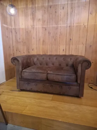 Sofá de piel de 2 plazas