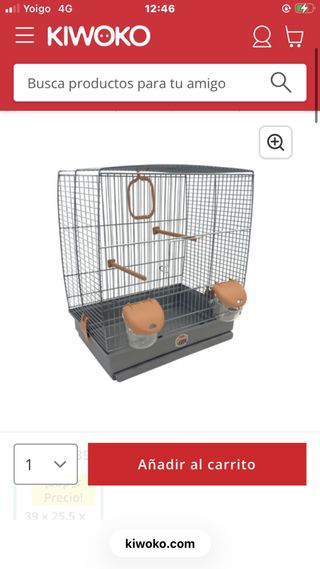 Jaula cn Loris arcoiris escribeme para saber mas