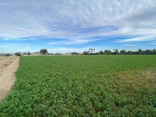 Solar en venta en Dolores