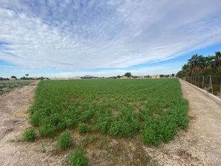 Solar en venta en Dolores