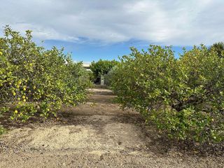 Casa rural en venta en San Miguel de Salinas