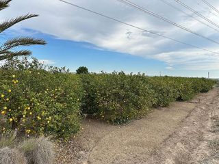 Casa rural en venta en San Miguel de Salinas