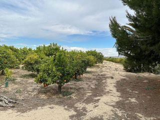 Casa rural en venta en San Miguel de Salinas
