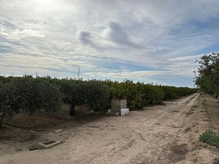 Casa rural en venta en San Miguel de Salinas