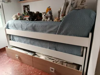 Cama nido juvenil casi nueva