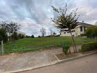 Terreno en venta en Utrera