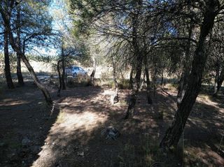 Solar en venta en Almansa