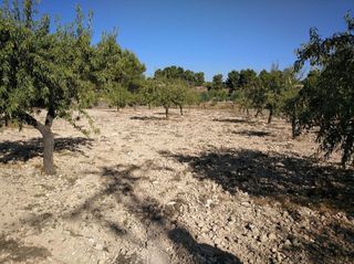 Solar en venta en Almansa