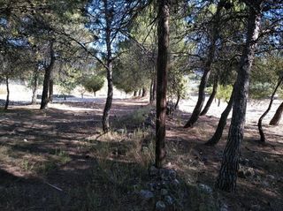 Solar en venta en Almansa