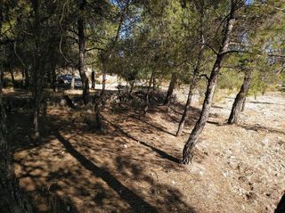 Solar en venta en Almansa