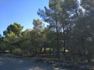 Solar en venta en Almansa