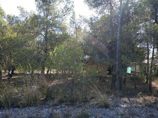 Solar en venta en Almansa