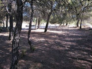 Solar en venta en Almansa