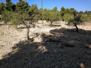 Solar en venta en Almansa