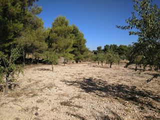 Solar en venta en Almansa