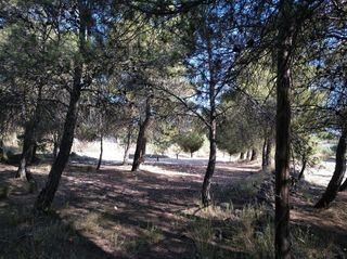 Solar en venta en Almansa